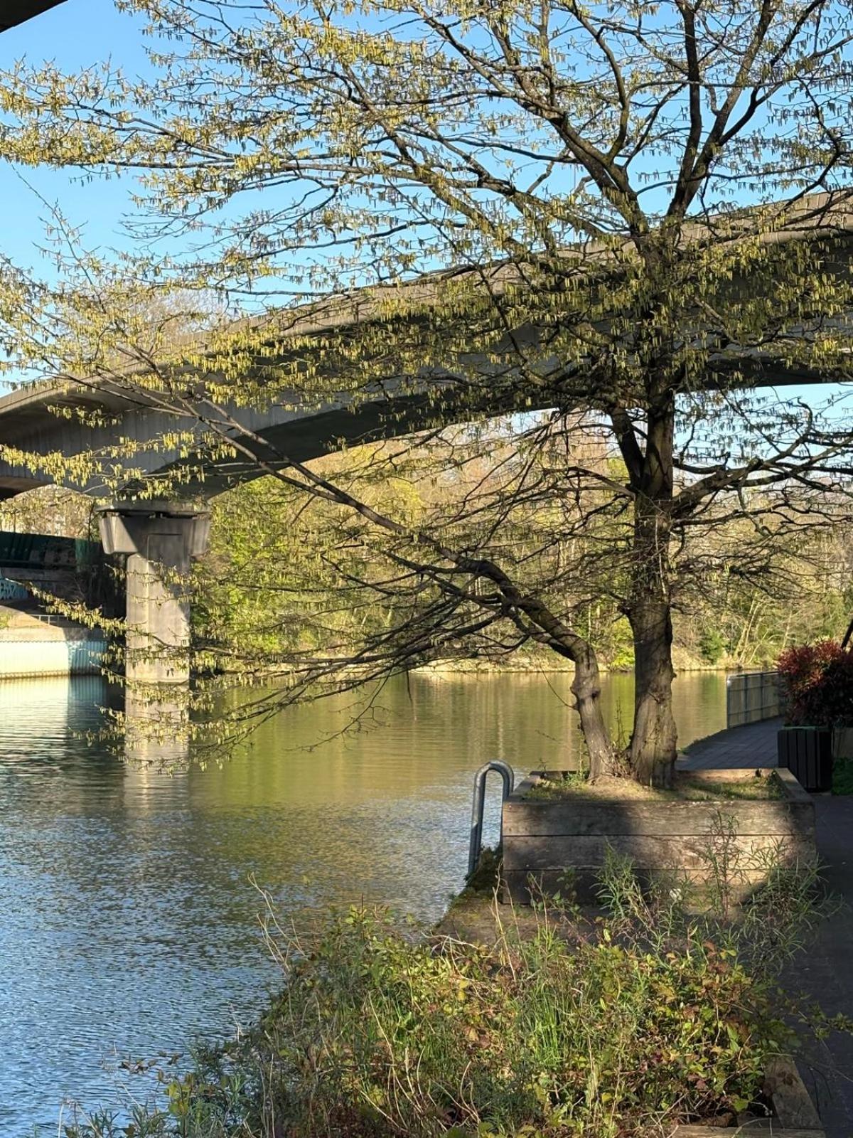 Escale-Marne Fr - 202 - Free Parking - Free Luggage Storage - All Equipped - Linen Included - Washing Machine - 10Mn Walk Metro 8 - Rer A - Panoramic View - From 1 To 14 Guests 迈松阿尔福 外观 照片